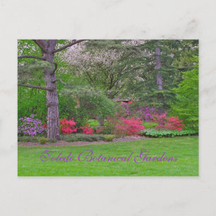 POSTALE TOLEDO JARDINS BOTANIQUES, PRINTEMPS, CARTE POSTAL