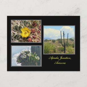 Postale trois photos d'Apache Junction Arizona carte posta