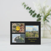 Postale trois photos d'Apache Junction Arizona carte posta (Debout devant)