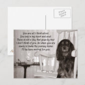 Postale Tu me manques : une carte de Cavalier King Charles (Devant / Derrière)