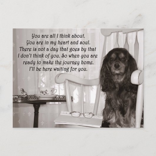 Postale Tu me manques : une carte de Cavalier King Charles (Devant)