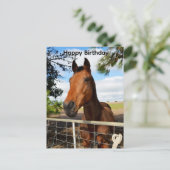 Postale Tulip le cheval bai brun, carte d'anniversaire (Debout devant)