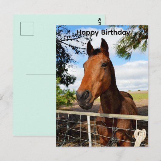 Postale Tulip le cheval bai brun, carte d'anniversaire (Devant / Derrière)
