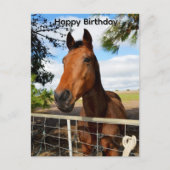 Postale Tulip le cheval bai brun, carte d'anniversaire (Devant)
