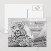Postale Un léopard en danger protège la faune Carte postal (Devant / Derrière)