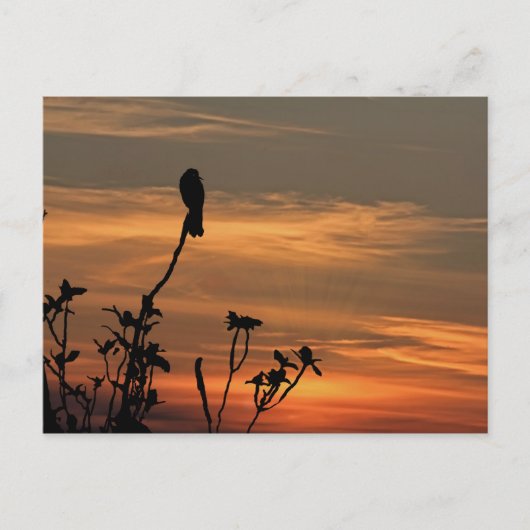 Postale un oiseau dans l'arbre au coucher du soleil carte  (Devant)