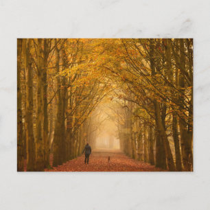 Postale Une femme marchant avec son chien en automne carte
