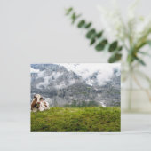 Postale Une vache solitaire dans les Alpes suisses - Carte (Debout devant)