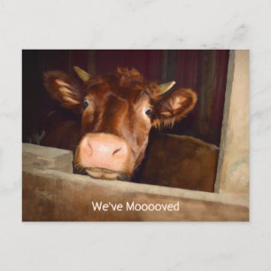 Postale Vache Rustique Pays Grange Funny Farm Carte de dép