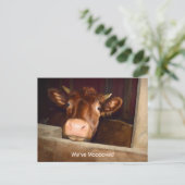 Postale Vache Rustique Pays Grange Funny Farm Carte de dép (Debout devant)