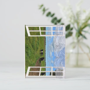 Postale Vaches galloway à travers une fenêtre, carte posta