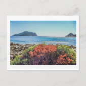 Postale Vasilitsi - Venetiko et cap Akritas - Carte postal (Devant)