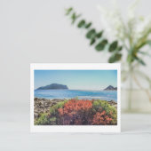 Postale Vasilitsi - Venetiko et cap Akritas - Carte postal (Debout devant)