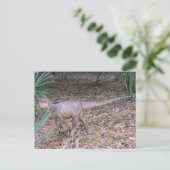 Postale Velociraptor - Dinosaure - Carte d'apprentissage (Debout devant)