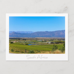 Postale Vineyard Nature View Afrique du Sud SA Carte posta