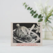 Postale Vintage Déplaisant article de l'alimentation Carte (Debout devant)