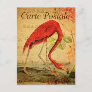 Postale Vintage rose flamingo Floral Carte française Posta