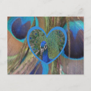 Postale Visage de paon dans le coeur do-it-yourself carte 
