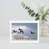 Postale Vol de l'Oie sauvage - bords déchirés carte postal (Debout devant)