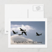 Postale Vol de l'Oie sauvage - bords déchirés carte postal (Devant / Derrière)