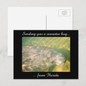 Postale Vous envoyer un Hug Manatee de Floride carte posta (Devant / Derrière)