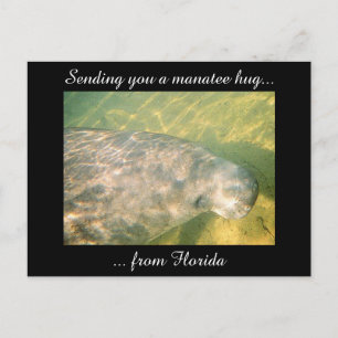 Postale Vous envoyer un Hug Manatee de Floride carte posta