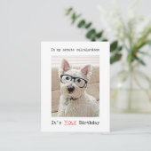 Postale Westie's Calculation, It's Your Birthday, Carte po (Debout devant)