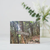 Postale White Mountains Garfield Ridge Camping Carte posta (Debout devant)