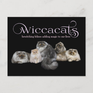 Postale WiccaCats GRAND carte de visite