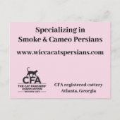 Postale WiccaCats GRAND carte de visite (Dos)
