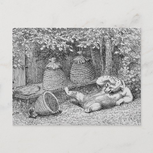 Postale William H. Beard - Bear Stung by Bees Carte postal (Devant)
