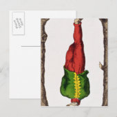 Postale XII L'homme pendu, carte tarot (Devant / Derrière)