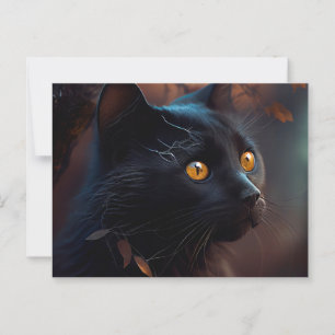 Postales Black Cat Briefkaart