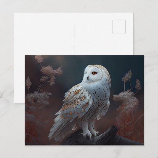 Postales snowy owl-kaarten briefkaart (Voorkant / Achterkant)