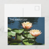 POSTCARD Artistic Photography The Water Lily Briefkaart (Voorkant / Achterkant)