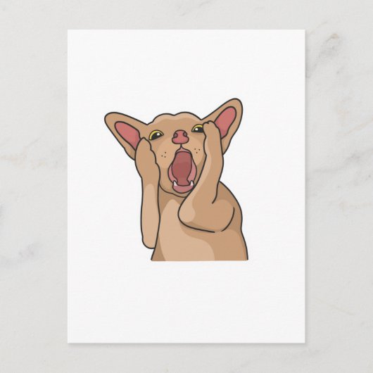 Postcard Briefkaart (Voorkant)