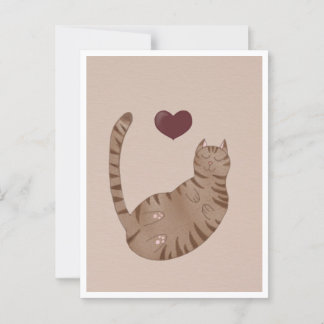 Postcard - Cute Cat Briefkaart