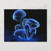 Postcard-fluorescentie Briefkaart (Voorkant)