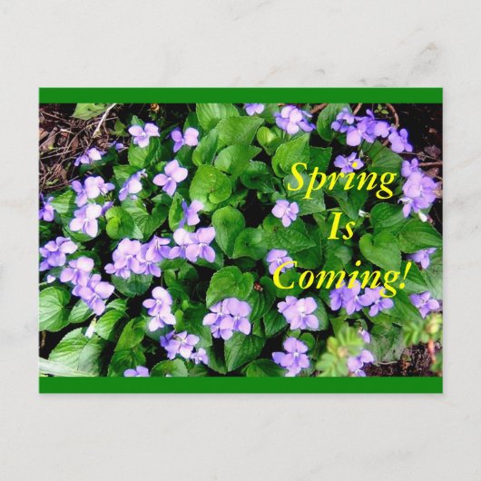 Postcard for Spring Briefkaart (Voorkant)