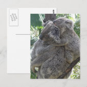 Postcard Koalas QLD Australia Briefkaart (Voorkant / Achterkant)