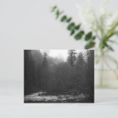 Postcard - Misty Salmon River, Oregon Briefkaart (Staand voorkant)