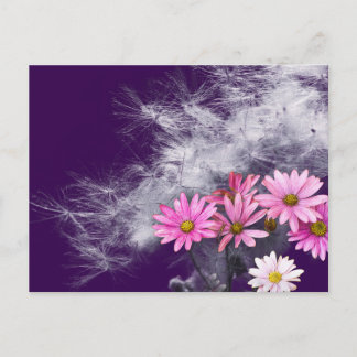 Postcard Postkarte Blumen und Distelsamen Briefkaart