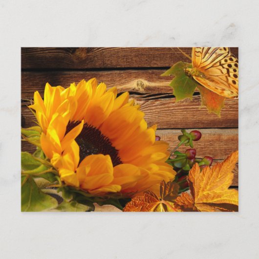 Postcard, Rustic Country Fall Sunflower Butterfly Briefkaart (Voorkant)