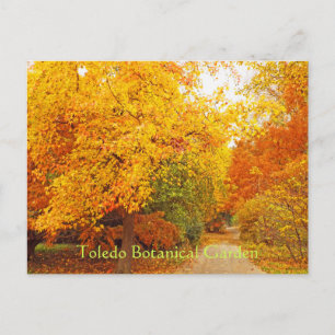 POSTCARD/TOLEDO BOTANISCHE WEG GARDEN/AUTUMN BRIEFKAART