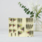 Postcard with Grasshoppers Briefkaart (Staand voorkant)