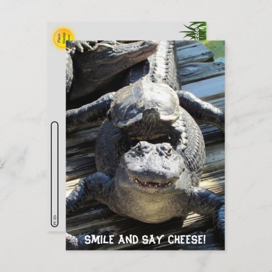 Postcross - Ultimate Florida Tourist Carte postale (Devant / Derrière)