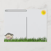 Postcross - Ultimate Florida Tourist Carte postale (Dos)