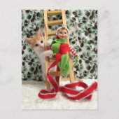 Postcrossing - Annie de Kat en de Kerst Elf Briefkaart (Voorkant)