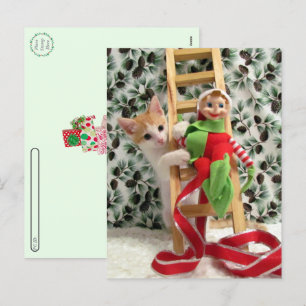 Postcrossing - Annie Het Kitten en de Elf Feestdagenkaart