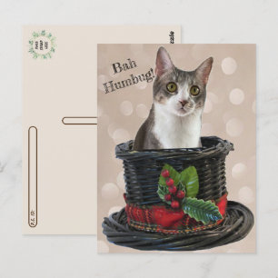Postcrossing - Bah Humbag Tito Het Kat Briefkaart